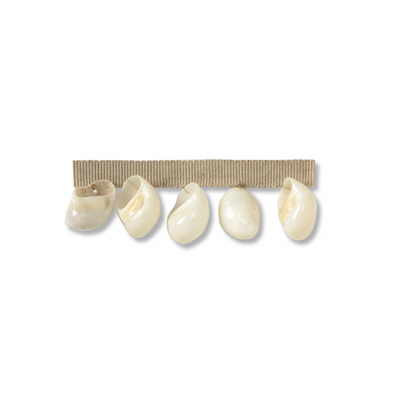 Pearl Shells Salt by Kravet Couture Trim BARBARA BARRY COLLECTION SHELLS - 95%;POLYESTER - 5% China LIGHT Horizontal: 1 and Vertical: 0 1.5 - Fabric Carolina -