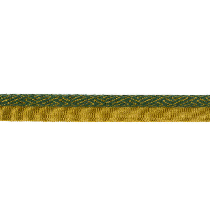 Twiga Landscape by Kravet Design Trim TANZANIA J BANKS TRIM COLLECTION COTTON - 44%;WOOL - 22%;FIBRANNE - 17%;RAYON - 17% China - Horizontal: - and Vertical: - 1 - Fabric Carolina -