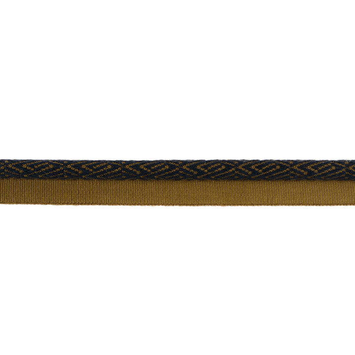 Twiga Ink by Kravet Design Trim TANZANIA J BANKS TRIM COLLECTION COTTON - 44%;WOOL - 22%;FIBRANNE - 17%;RAYON - 17% China Horizontal: and Vertical: 1 - Fabric Carolina -
