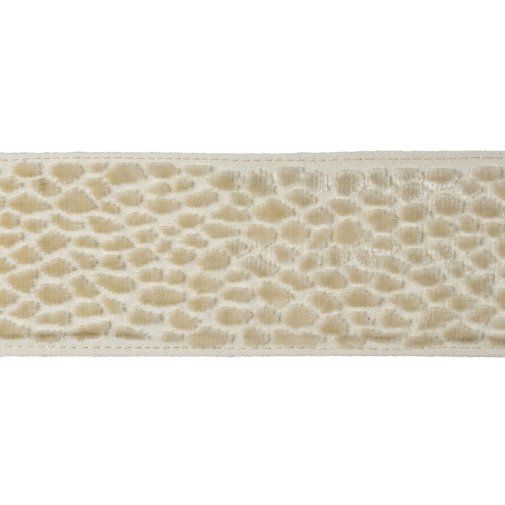 Velvet Pebble Pearl by Kravet Design Trim Kravet Design Trim Velvet Pebble PearlTrim CANDICE OLSON COLLECTION COTTON - 56%;VISCOSE - 44% India </p><p>Repeat: H: , V: 2.5 - Fabric Carolina -
