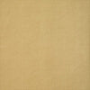 MONTANA LEATHER - Chamois by Thibaut Wallpaper