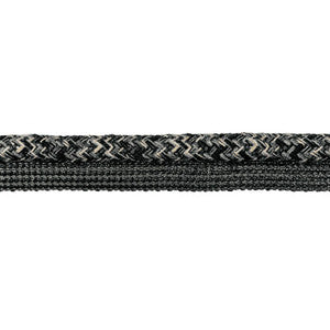 Nicoya Noir by Kravet Trim