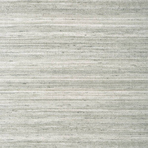 Wild Silk Charcoal on Metallic Silver T335 by Thibaut Wallpaper