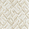 BRISTLECONE - Beige by Thibaut Wallpaper