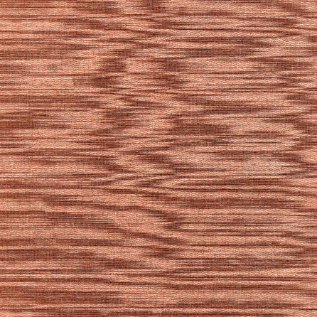 TALUK SISAL - Terracotta by Thibaut Wallpaper