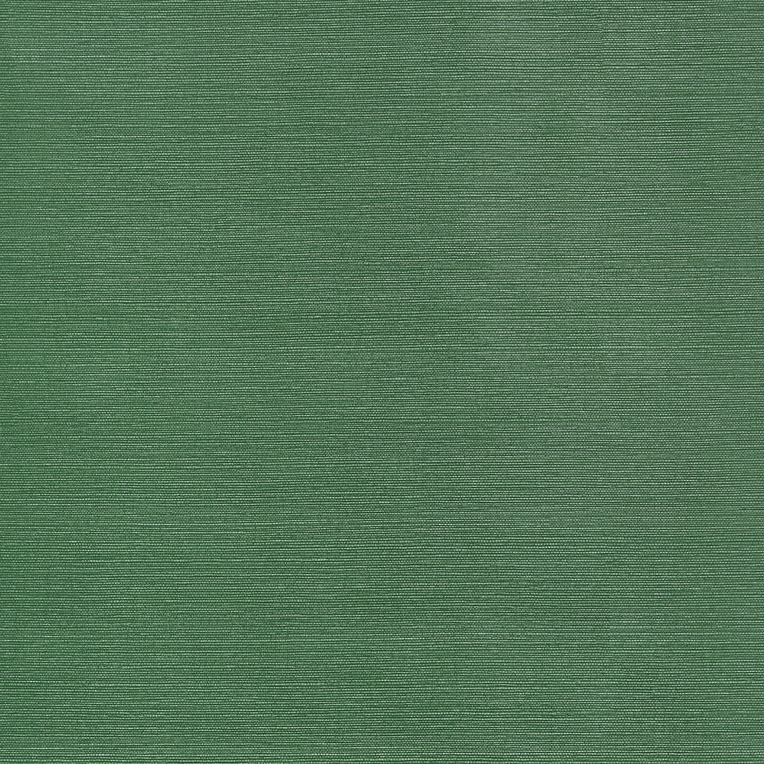 TALUK SISAL - Forest Green by Thibaut Wallpaper