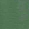 TALUK SISAL - Forest Green by Thibaut Wallpaper