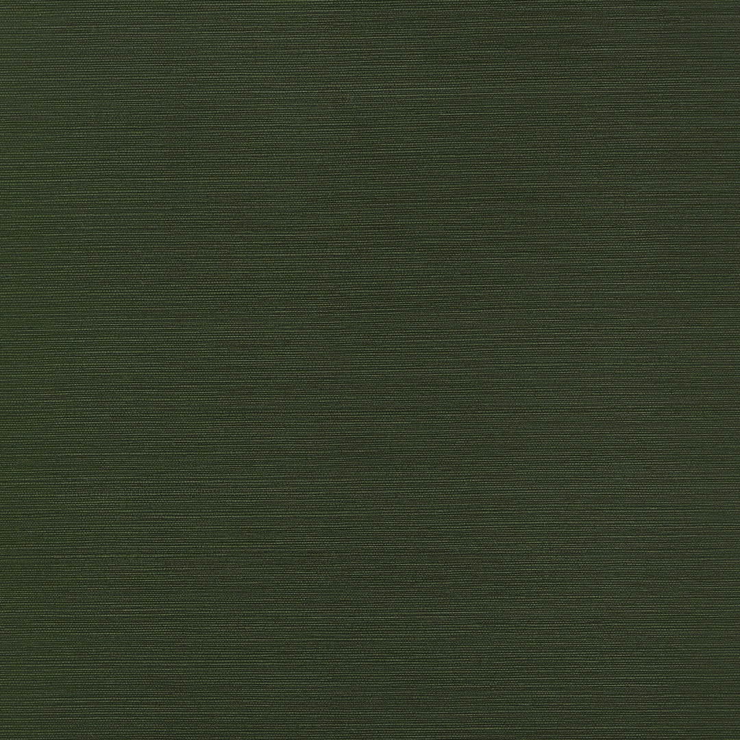 TALUK SISAL - Olive by Thibaut Wallpaper