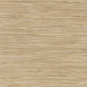 St. Martin Tobacco T3611 by Thibaut Wallpaper