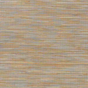 St. Martin Grey T3616 by Thibaut Wallpaper