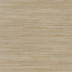 St. Martin Taupe T3617 by Thibaut Wallpaper