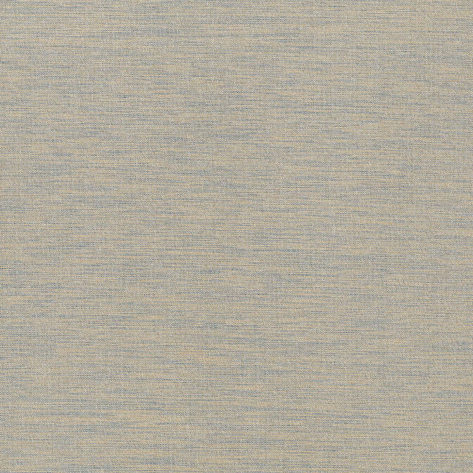 Sardinia Blue and Beige T3678 by Thibaut Wallpaper Thibaut Wallpaper Sardinia Blue and Beige T3678Wallpaper Grasscloth Resource 2 Paperweave KOREA </p><p>Repeat: V: - 36 - Fabric Carolina -