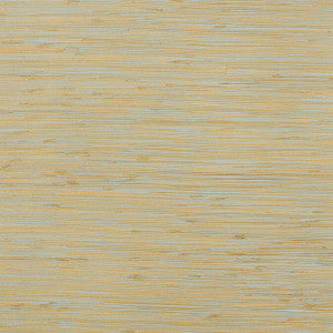 Rush Cloth Aqua T3693 by Thibaut Wallpaper