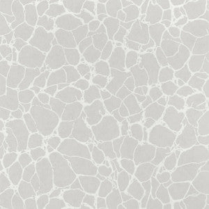 Amato Grey T4015 by Thibaut Wallpaper