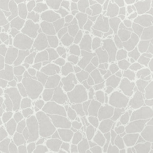 Amato Grey T4015 by Thibaut Wallpaper