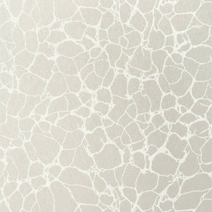 Amato Metallic Pewter T4017 by Thibaut Wallpaper