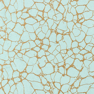 Amato Aqua T4018 by Thibaut Wallpaper