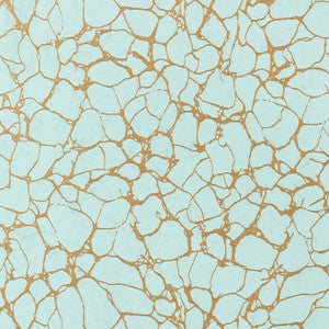 Amato Aqua T4018 by Thibaut Wallpaper