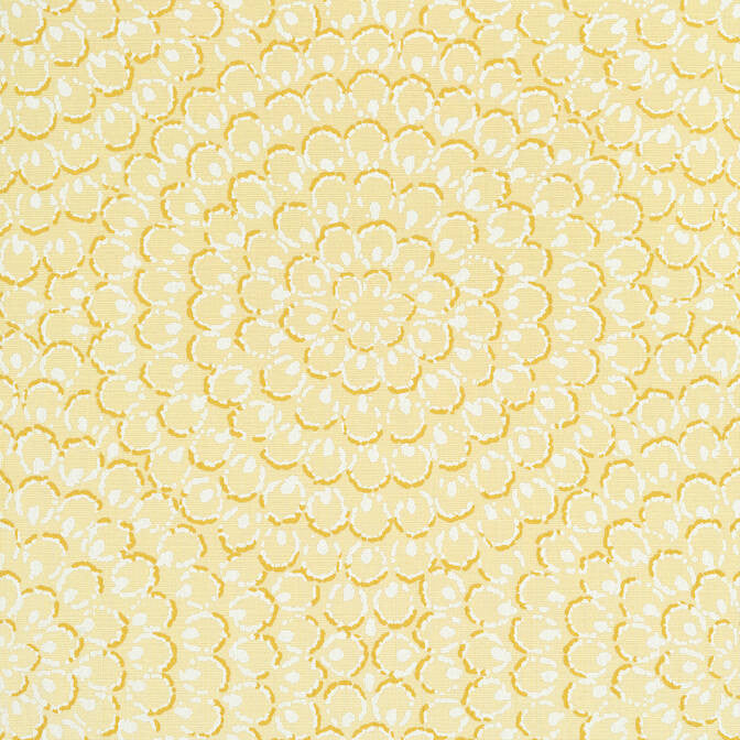 Aster Yellow T4032 by Thibaut Wallpaper Thibaut Wallpaper Aster Yellow T4032Wallpaper Surface Resource String Wallpaper U.S.A. </p><p>Repeat: V: 25.25 27 - Fabric Carolina -