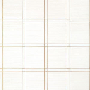 Wood Panel White and Metallic Pewter T41000 By Thibaut Wallpaper