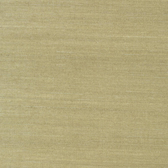 Shang Extra Fine Sisal Moss T41166 by Thibaut Wallpaper Thibaut Wallpaper Shang Extra Fine Sisal Moss T41166Wallpaper Grasscloth Resource 3 Extra Fine Sisal CHINA </p><p>Repeat: V: - 36 - Fabric Carolina -