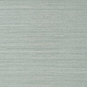 Shang Extra Fine Sisal Mineral T41168 by Thibaut Wallpaper
