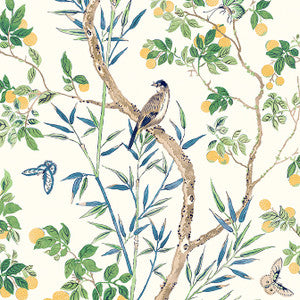 Claire Yellow and Navy T42013 by Thibaut Wallpaper