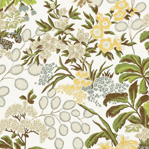 Meadow Green T42035 By Thibaut Wallpaper
