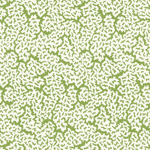 Maldives Green T42041 by Thibaut Wallpaper