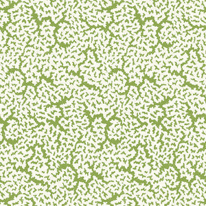 Maldives Green T42041 by Thibaut Wallpaper