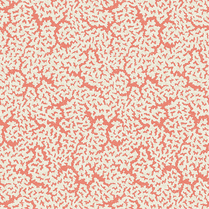 Maldives Coral T42043 by Thibaut Wallpaper Thibaut Wallpaper Maldives Coral T42043Wallpaper Sojourn Non Woven Wallpaper UNITED STATES </p><p>Repeat: V: 25.25 27 - Fabric Carolina -