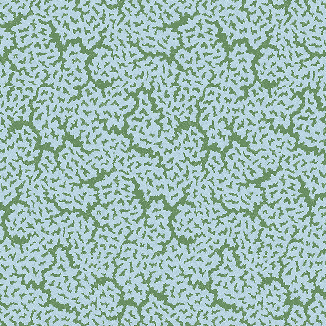Maldives Blue and Green T42044 by Thibaut Wallpaper Thibaut Wallpaper Maldives Blue and Green T42044Wallpaper Sojourn Non Woven Wallpaper UNITED STATES </p><p>Repeat: V: 25.25 27 - Fabric Carolina -