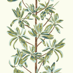 Thibaut Wallpaper Mangrove Tree Sage T45034