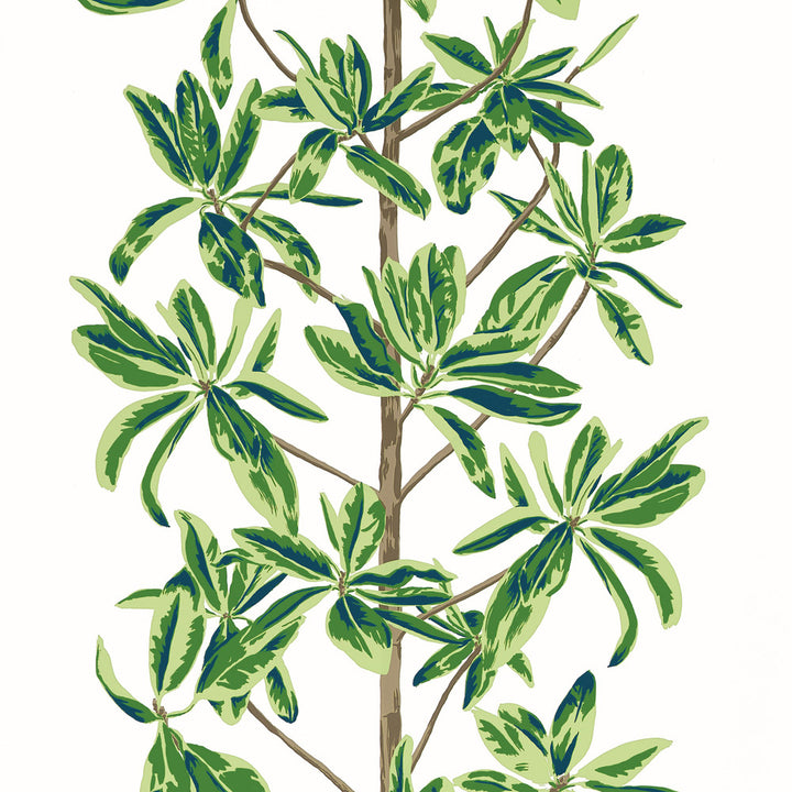 Thibaut Wallpaper Mangrove Tree Green and White T45035 Wallpaper Wallpaper U.S.A </p><p>Repeat: H: , V: 36   (91.44  cm) 27  in  (68.58  cm) - My Fabric Connection -