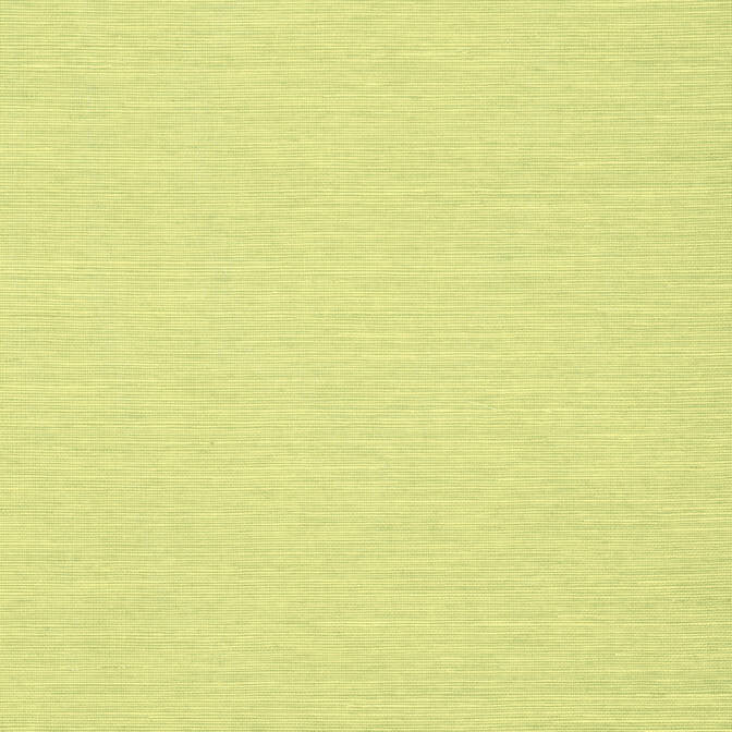 Shang Extra Fine Sisal Spring Green T5019 by Thibaut Wallpaper Thibaut Wallpaper Shang Extra Fine Sisal Spring Green T5019Wallpaper Grasscloth Resource Extra Fine Sisal CHINA </p><p>Repeat: V: - 36 - Fabric Carolina -