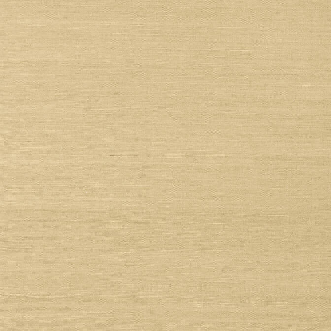 Shang Extra Fine Sisal Taupe T5031 by Thibaut Wallpaper Thibaut Wallpaper Shang Extra Fine Sisal Taupe T5031Wallpaper Grasscloth Resource Extra Fine Sisal CHINA </p><p>Repeat: V: - 36 - Fabric Carolina -
