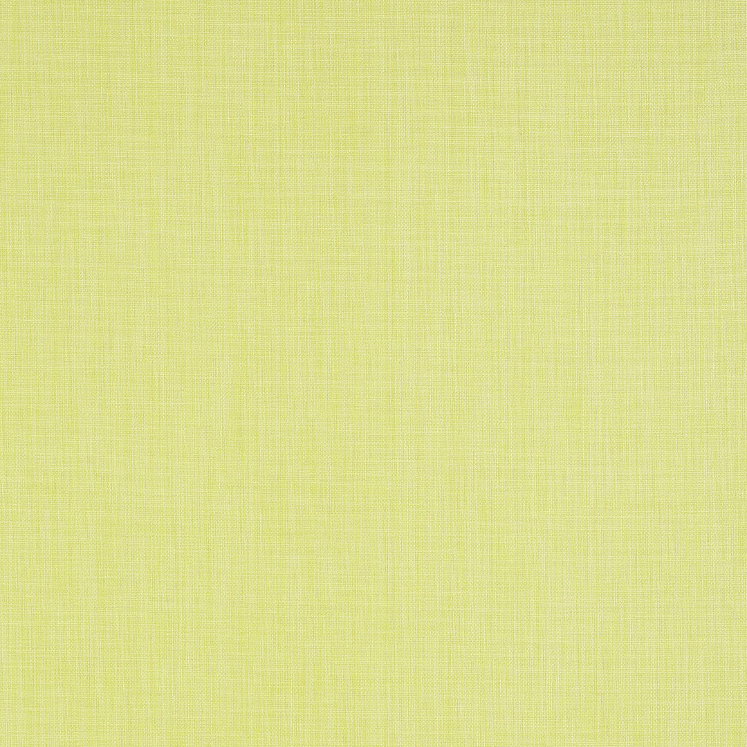REGATTA RAFFIA - Citrus by Thibaut Wallpaper