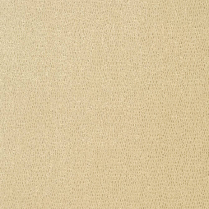 Chameleon Beige T57155 by Thibaut Wallpaper Thibaut Wallpaper Chameleon Beige T57155Wallpaper Texture Resource 5 Embossed Vinyl Woven Wallpaper U.S.A. </p><p>Repeat: V: - 26.5 - Fabric Carolina -