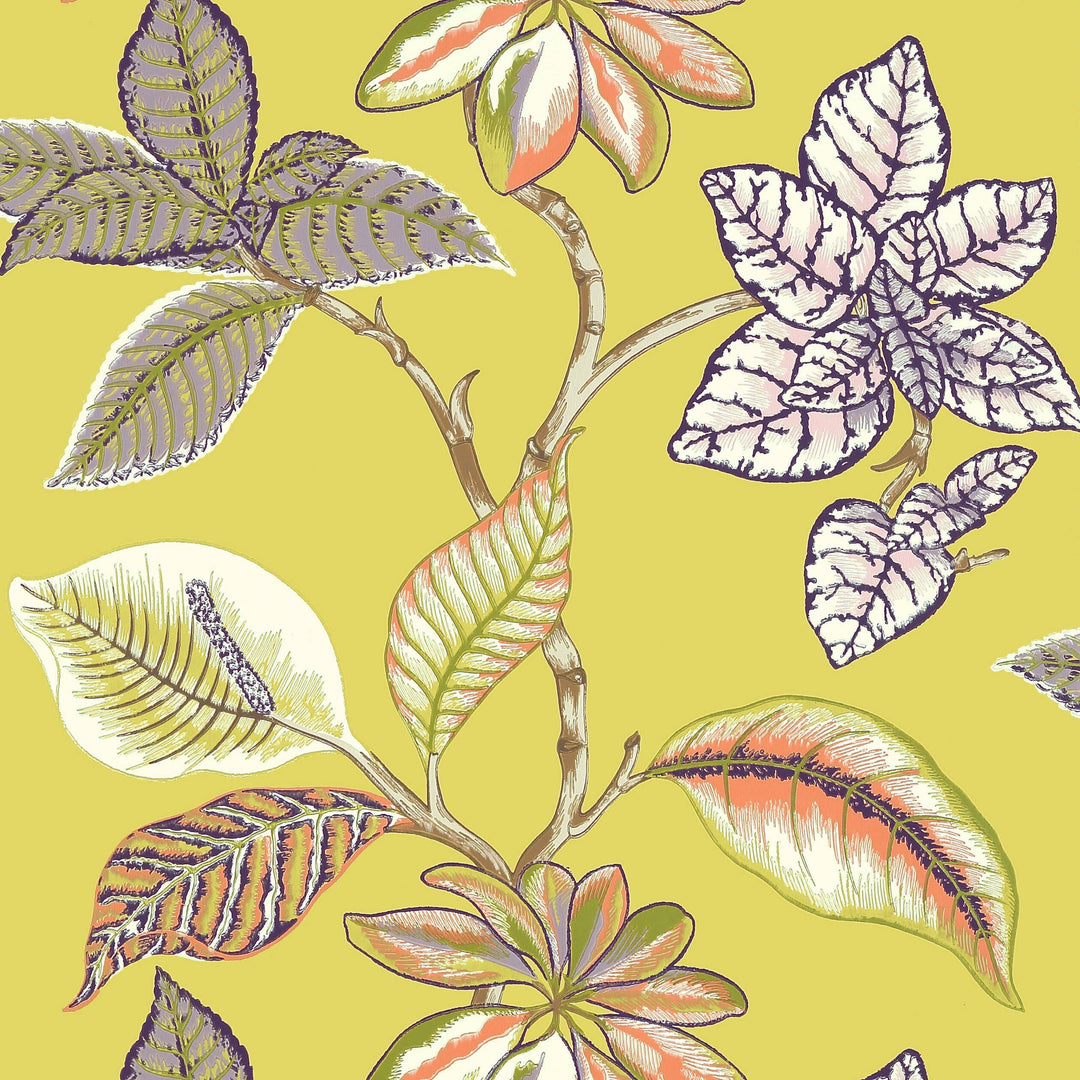 LUCALA - Citron by Thibaut Wallpaper