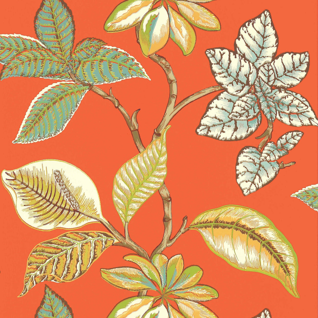 LUCALA - Coral by Thibaut Wallpaper