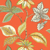 LUCALA - Coral by Thibaut Wallpaper