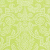 HARVARD DAMASK - Citrus by Thibaut Wallpaper