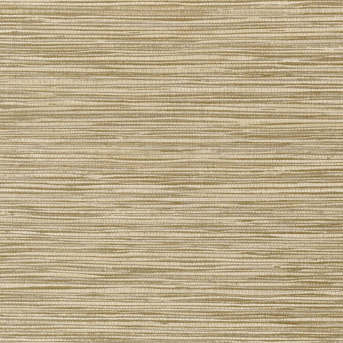 Jindo Grass Cafe T75118 by Thibaut Wallpaper Thibaut Wallpaper Jindo Grass Cafe T75118Wallpaper Faux Resource Vinyl Face Wallpaper UNITED KINGDOM </p><p>Repeat: V: 27 27 - Fabric Carolina -