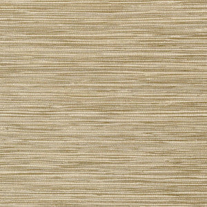 Jindo Grass Cafe T75118 by Thibaut Wallpaper