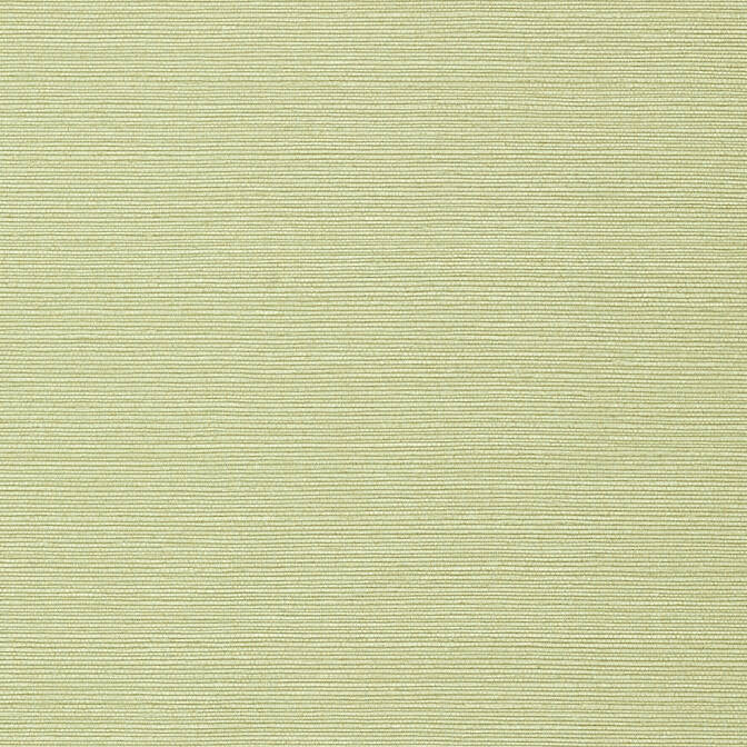 Taluk Sisal Willow T75153 by Thibaut Wallpaper Thibaut Wallpaper Taluk Sisal Willow T75153Wallpaper Faux Resource Non-Woven Vinyl Wallpaper U.S.A. </p><p>Repeat: V: 21 27 - Fabric Carolina -