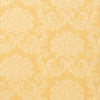 SYMPHONY DAMASK - Wheat by Thibaut Wallpaper