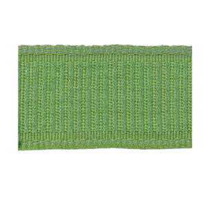 Coeur Band Spring by Brunschwig & Fils Trim