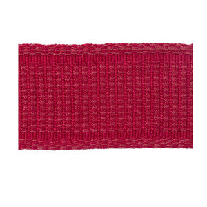 Coeur Band Raspberry by Brunschwig & Fils Trim