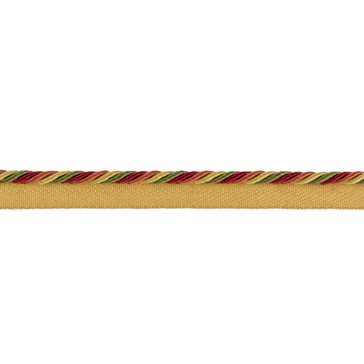 Soie Cord Petite Carnaval by Brunschwig & Fils Trim Brunschwig & Fils Trim Soie Cord Petite CarnavalTrim LA SOIE PASSEMENTERIE COTTON - 49%;POLYESTER - 26%;SILK - 25% China </p><p>Repeat: H: , V: 0.5 - Fabric Carolina -