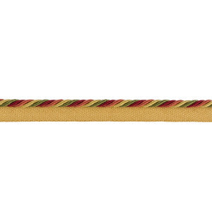 Soie Cord Petite Carnaval by Brunschwig & Fils Trim